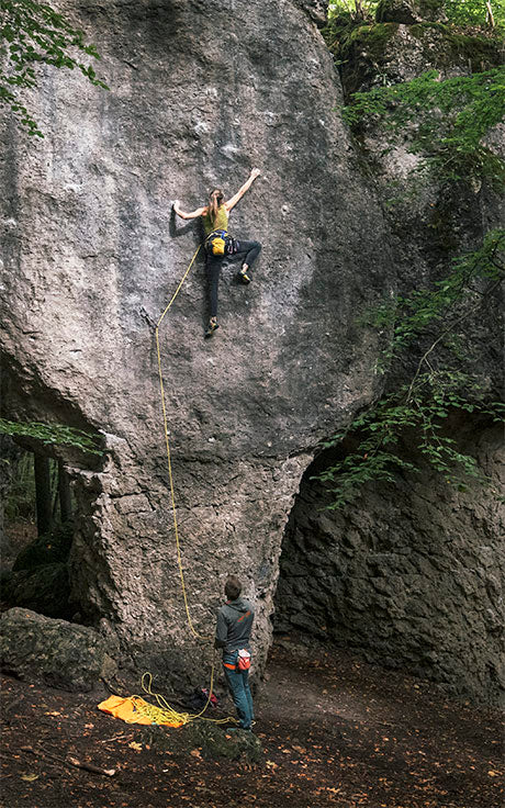 Slide image